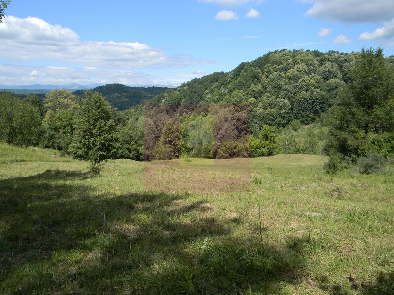 Teren intravilan de vanzare in Telega