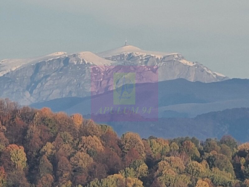 Teren intravilan de vanzare in Telega