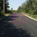 Teren intravilan de vanzare in Telega